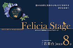 ڥϥۥ쥢 Felicia Stage(۾ʬ)