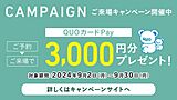 ͽǥPay3000ʬץ쥼ȡ