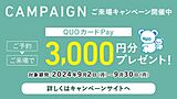 ͽǥPay3000ʬץ쥼ȡ