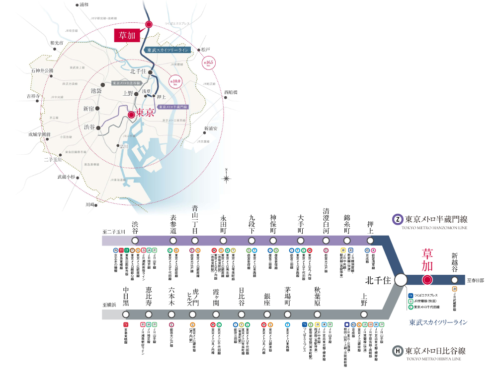 ネベル草加 Tiare コンセプト