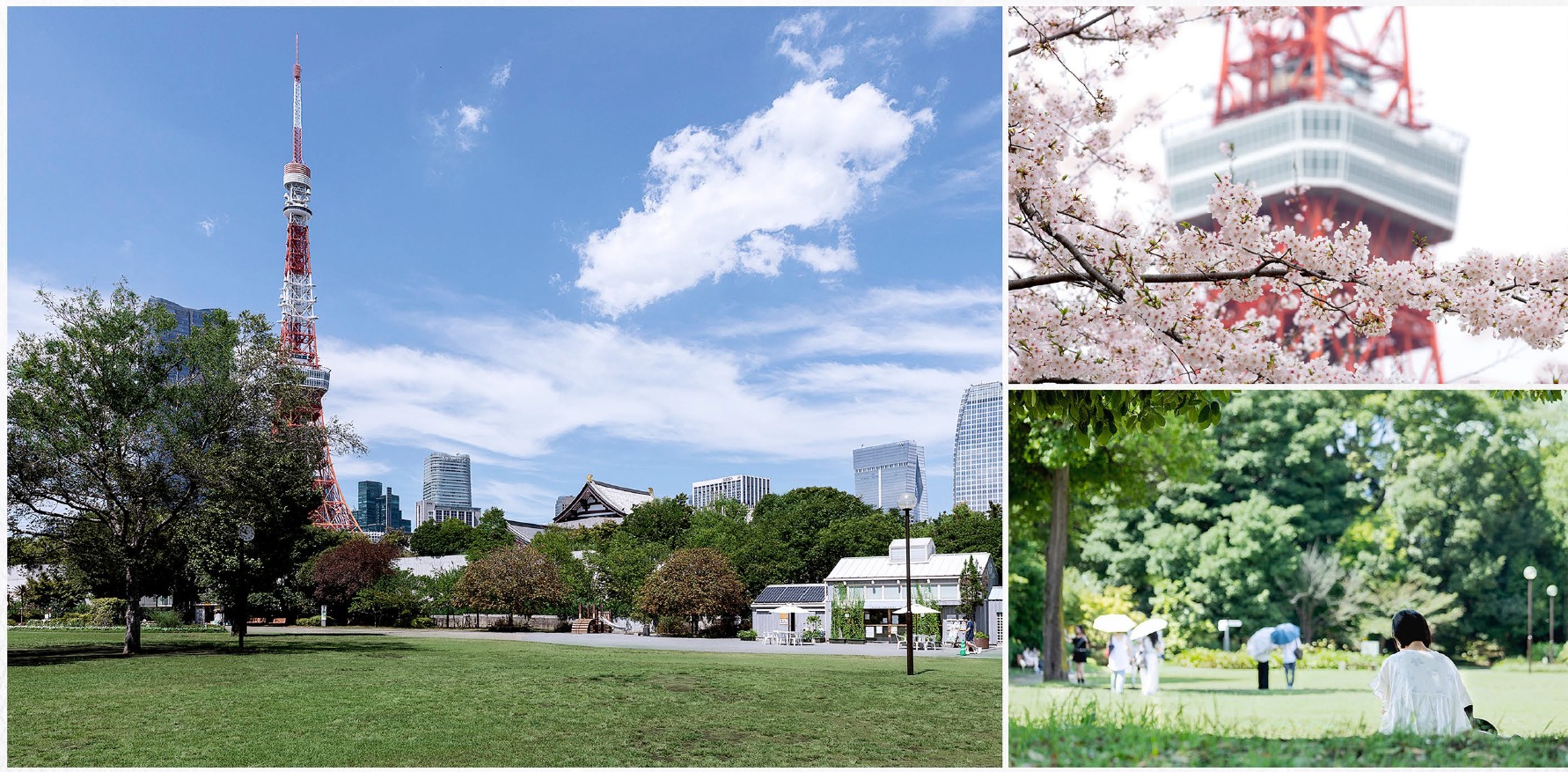リビオタワー芝公園 都心であることを忘れるほどの壮大な緑に癒される芝公園・増上寺。