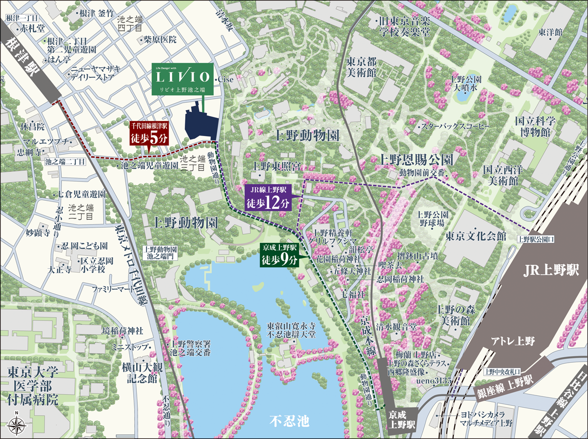 リビオ上野池之端：案内図