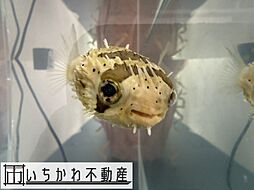 いちかわ不動産株式会社