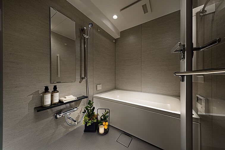 レーベン長岡古正寺NACREOUS 専有部