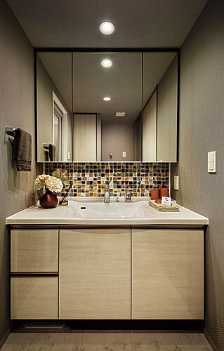 レーベン浜松VISTAGE パウダールーム