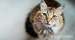 レーベン木町通THE MAISON 設備