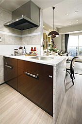 ネベル札幌 legend core 専有部