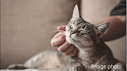 レーベン発寒南 RECENT 設備