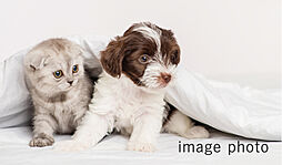 ファインレーベン札幌二十四軒 THE SEASON 設備