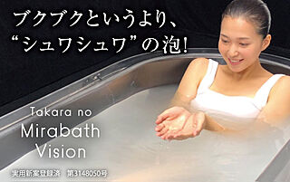 レーベン中野鷺宮 たからのミラバスビジョン