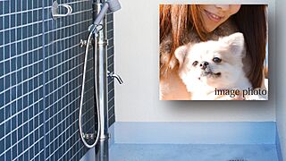 クリオ成増グレイスコート ペット飼育※とペット足洗い場