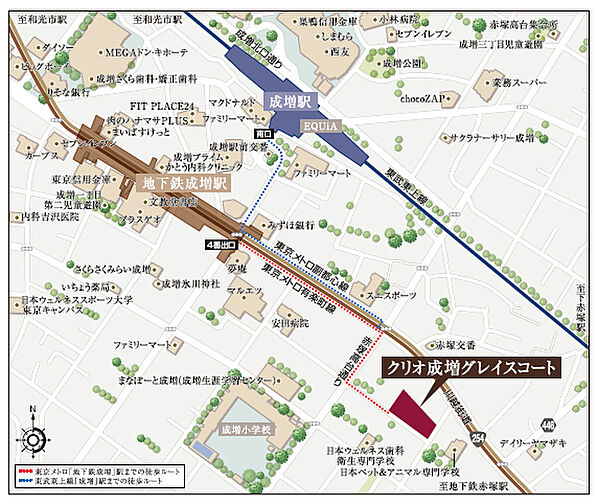 クリオ成増グレイスコート 現地案内図