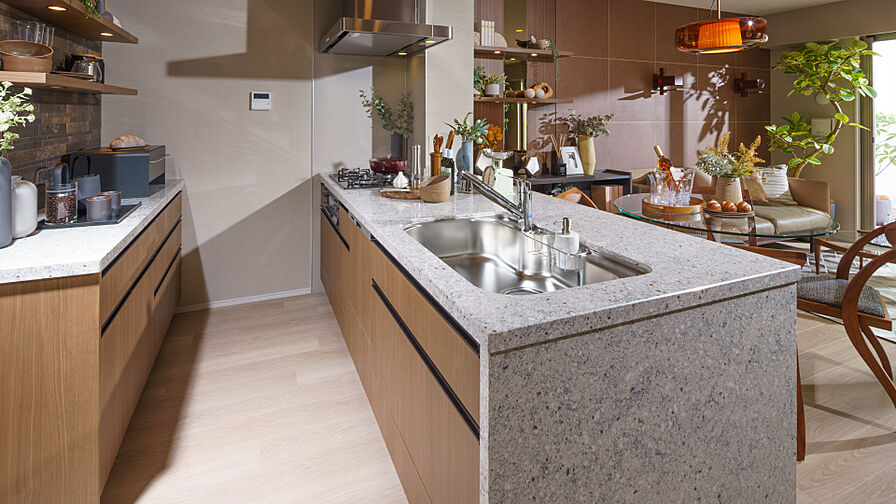 ヴェレーナ武蔵新城 専有部