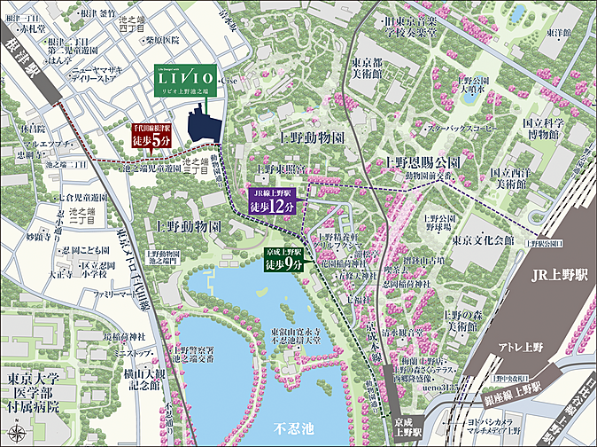 リビオ上野池之端 現地案内図