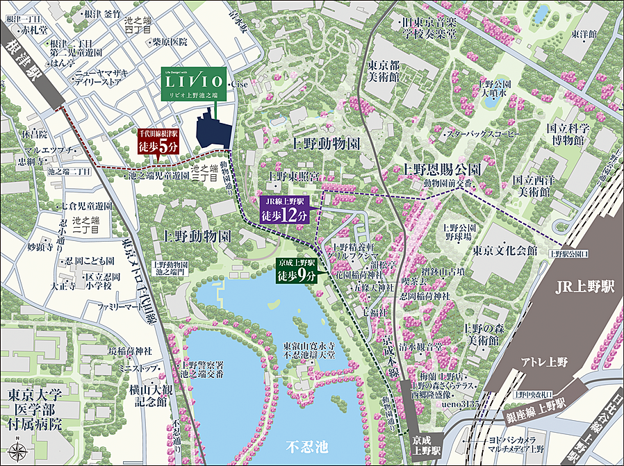 リビオ上野池之端：案内図