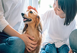 クレストシティ鎌倉大船サウス 設備