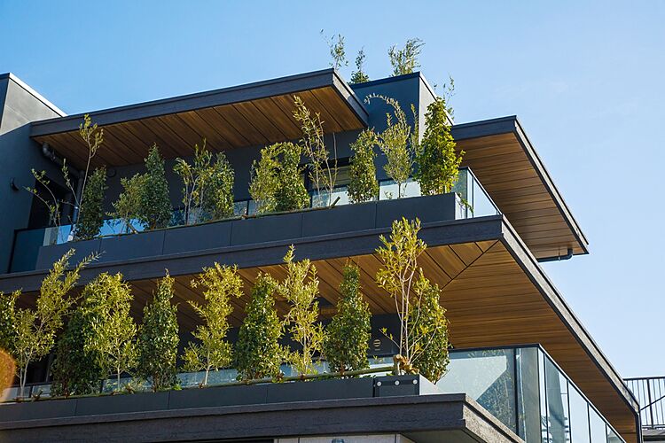 サンウッド荻窪 竣工写真