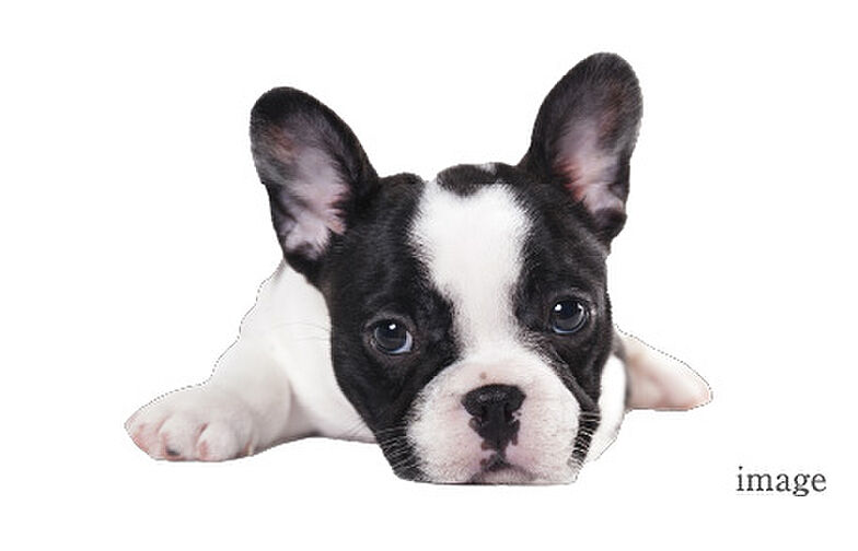 サンクレイドル浅草III 設備