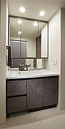 サンクレイドル南鳩ヶ谷ステーションウィズ 専有部