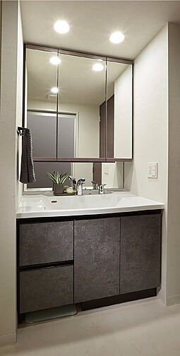 サンクレイドル南鳩ヶ谷ステーションウィズ 専有部