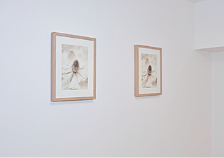 サンクレイドル葛西ステーションウィズ 低ホルムアルデヒド仕様