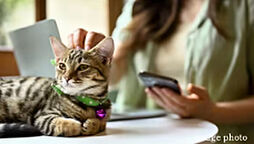 プレディア広島大手町 設備