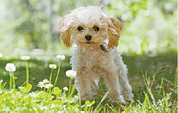 レ・ジェイド鶴舞 設備