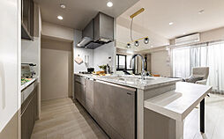 ユニハイム小岩 専有部