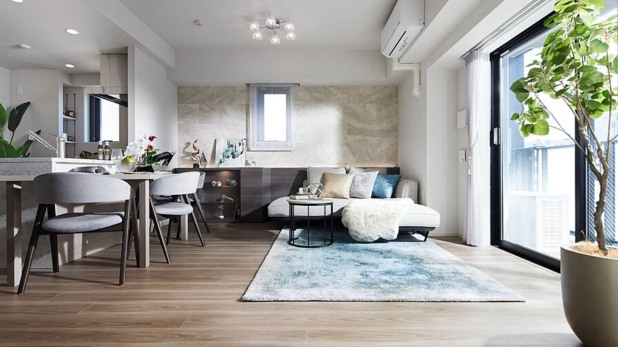 ルフォンリブレ板橋本町 専有部