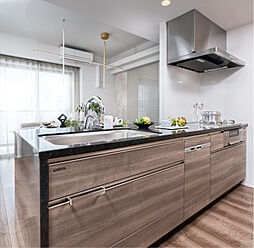 アルファ藤枝駅前ザ・タワー 専有部