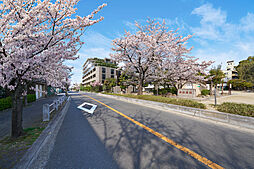 ジオ豊中 中桜塚三丁目 共用部