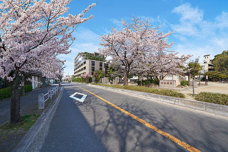 ジオ豊中 中桜塚三丁目 建物完成予想図
