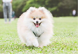 モアグレース稲沢ザ・レジデンス 設備