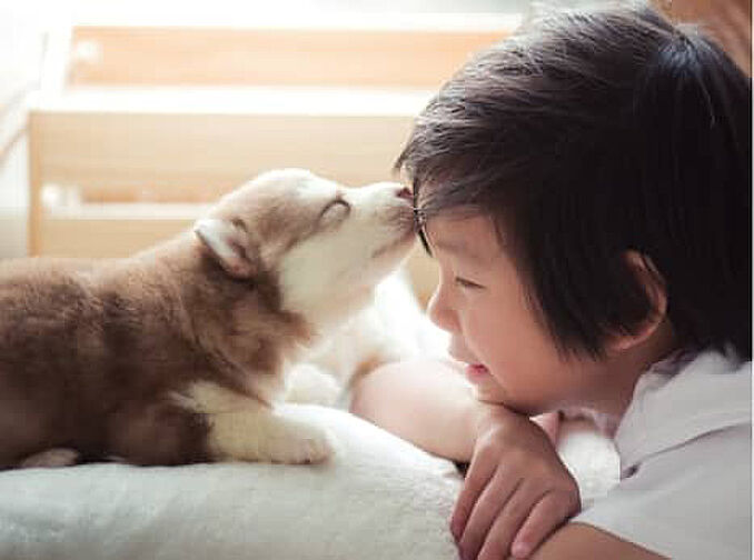 グランフォーレ春日原駅前レジデンス 設備