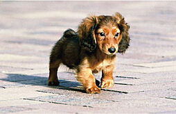 ポレスター唐津ザ・レジデンス 設備