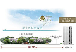 ソルティア上町台高津公園 その他