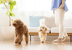 クリーンリバーフィネス平岸ステーションサイド 設備