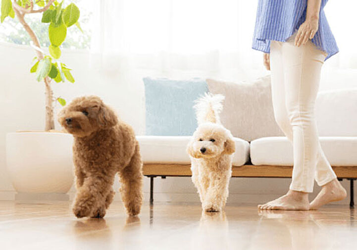 クリーンリバーフィネス平岸ステーションサイド 設備