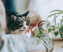 プレシス西八王子リバーサイド 設備