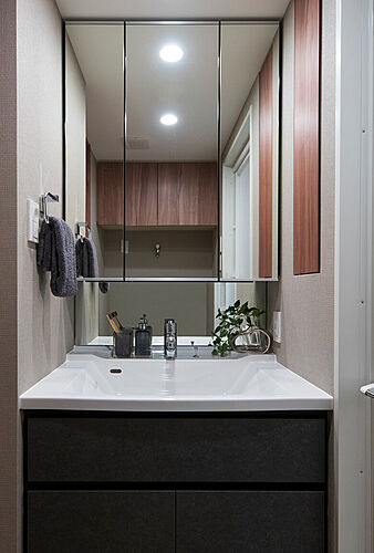 プレシス小田急相模原ステーションサイト パウダールーム