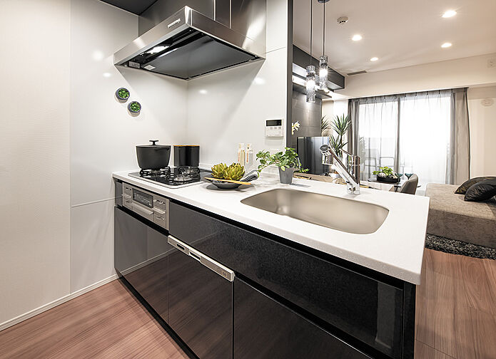 プレシス八王子横山町 専有部