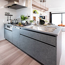 プレシス戸田公園ヴェルデ 専有部