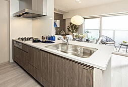 エスリード住吉大社駅レジデンス 専有部