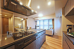 タワー・ザ・ファースト栄三丁目 専有部