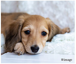 リフローレ豊橋大橋通 設備