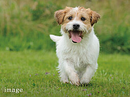 グランザ千種茶屋ヶ坂 設備