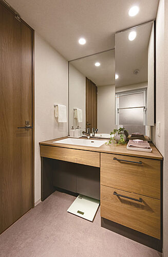 ドーミー ザ・テラス昭島 洗面室