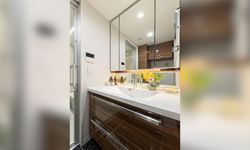 ピアッツァコート南八木 パウダールーム