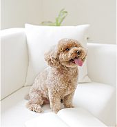 シティホーム札幌ステーションスクエア 設備