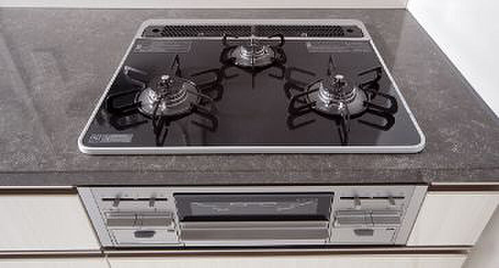 プレサンス ロジェ 大津京 レイクヴィラ 設備